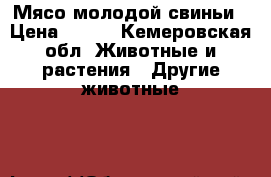 Мясо молодой свиньи › Цена ­ 250 - Кемеровская обл. Животные и растения » Другие животные   